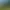 Un groupe de vaches et de veaux repose dans un pré vert entouré d'arbres sous un ciel bleu et nuageux